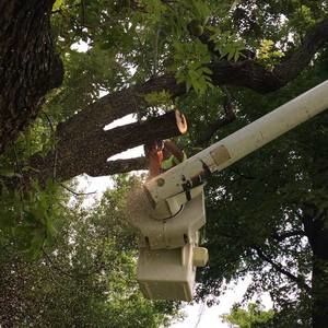 Meet your Posher, Tim